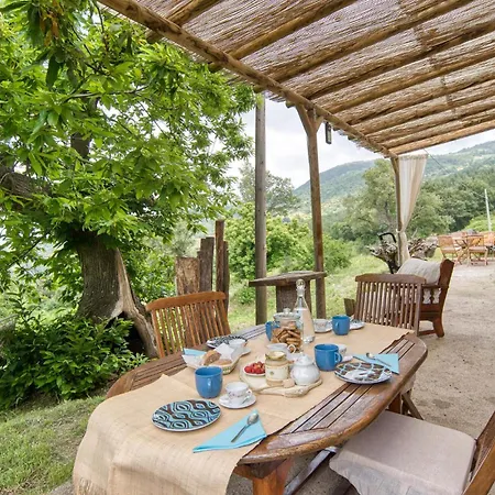 Tenuta Focaioni - Monte Amiata Stribugliano