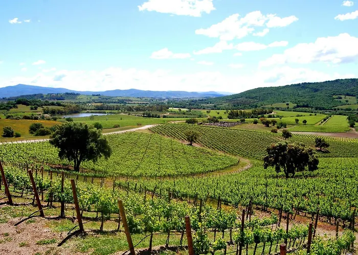 Tenuta Focaioni Vakantiehuis